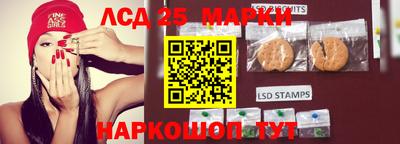 спиды Шелехов