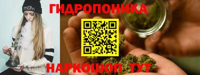 спиды Шелехов