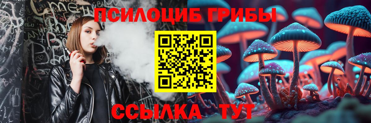 Псилоцибиновые грибы Psilocybine cubensis Артём