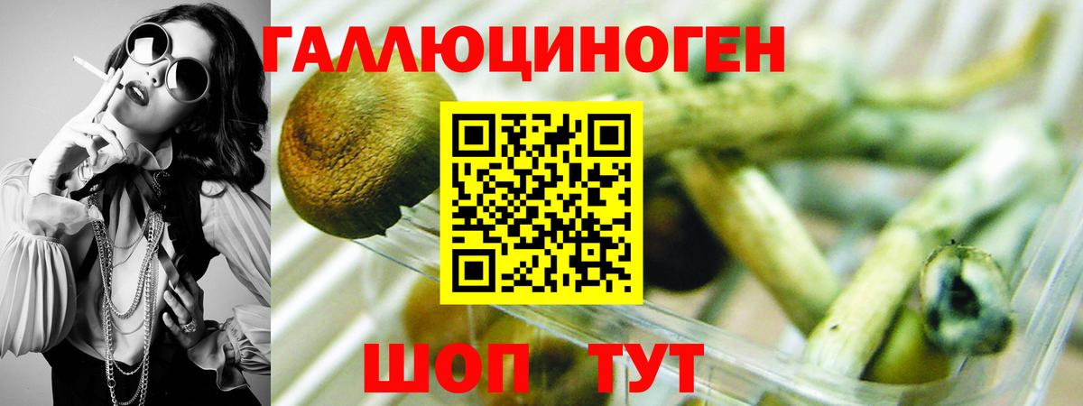 Артём  Галлюциногенные грибы GOLDEN TEACHER  Галлюциногенные грибы Psilocybe  Вход с VPN 